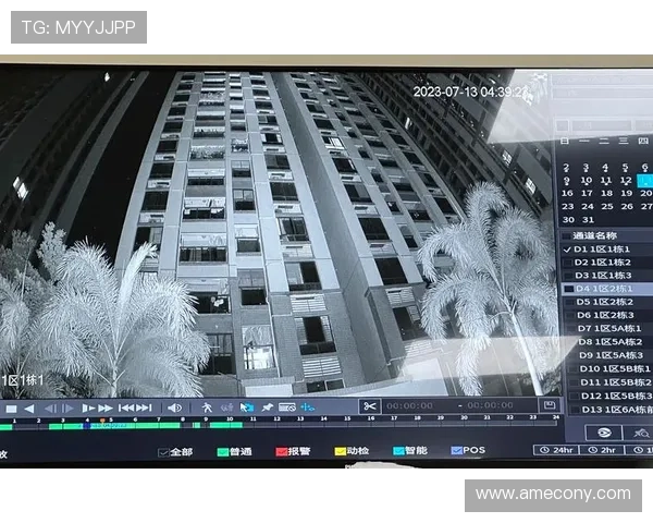 ag真人视讯官网安全保障措施全面，保障玩家资金和个人信息安全